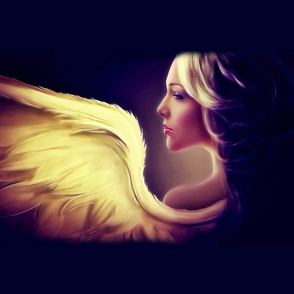 Meet your Posher, Jeremy - Picture 1 of 1